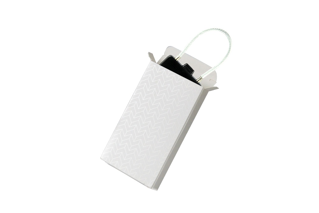 EZ400-TODD-Luggage-Lock_4
