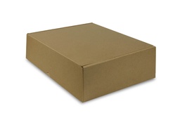 [B100] Mailer Box