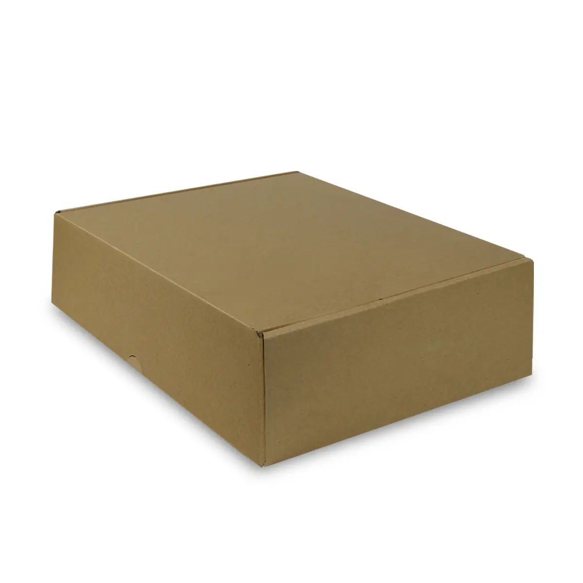 [B100] Mailer Box